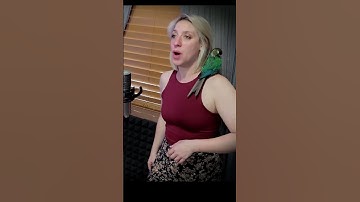 Thumbnail of KILLING ME SOFTLY  | #Fugees #LaurenHill #RobertaFlack #Birds #GreenCheekConure #1Take #Shorts