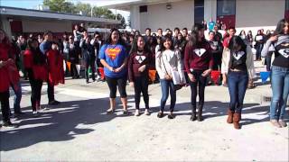 My Sadies Proposal 2014