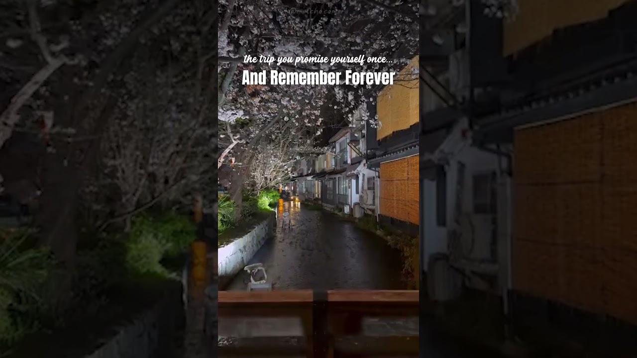 Cherry Blossom Season in Japan 🌸 | Sakura Dreams & Spring Magic ✨