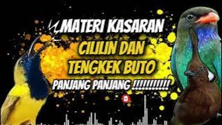 MASTERAN SOGON‼️ MATERI KASARAN CILILIN DAN TENGKEK BUTO #sogon #sogongacor #sogokontong