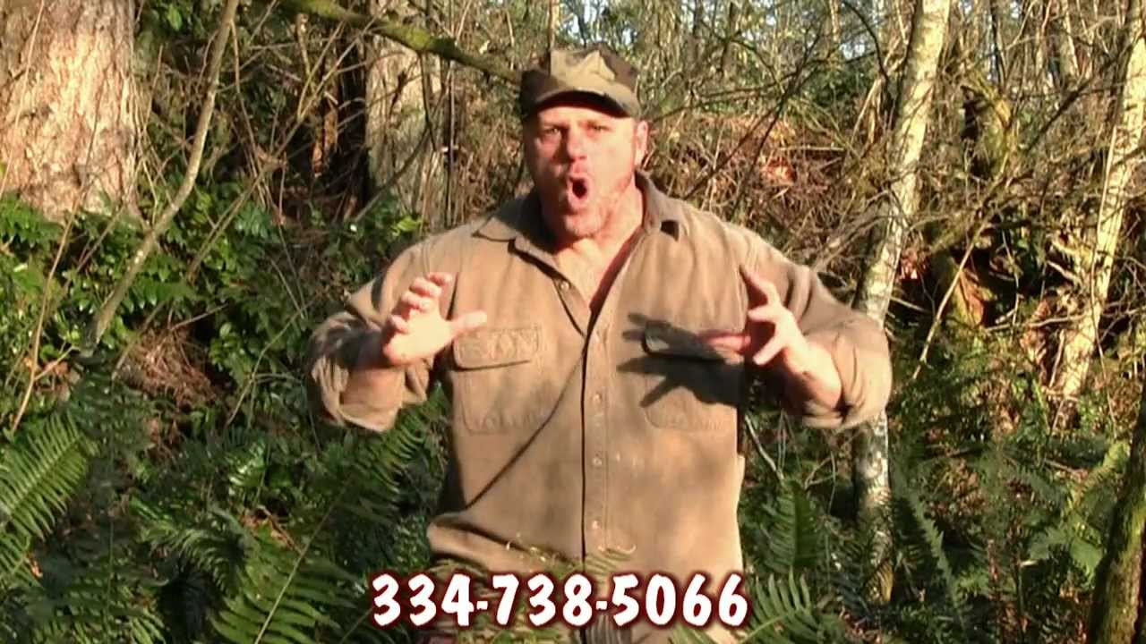 Alabama Quail Hunting at Great Southern Outdoors 