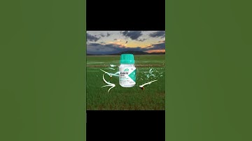 Kabuto 500SC - Đặc trị cỏ chác và lúa cỏ (5s) #tanthanhco #youtubeshorts