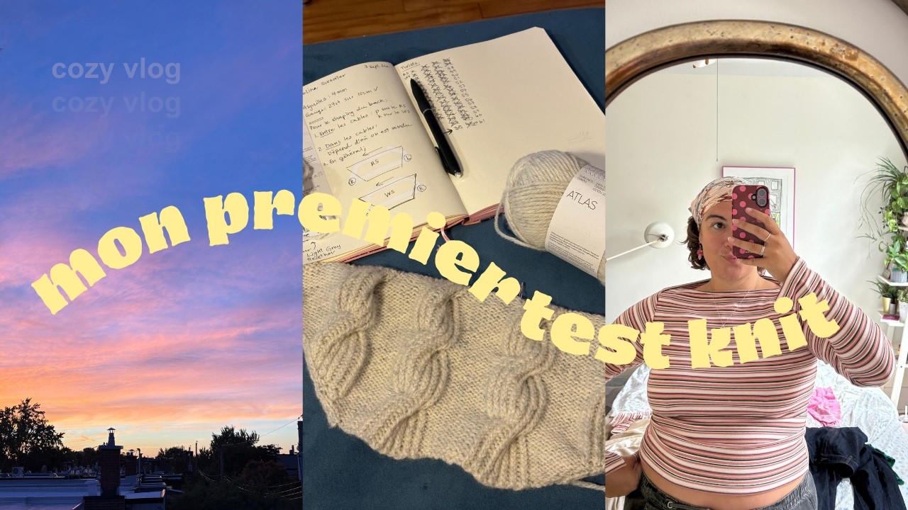 j'ai été choisie pour mon premier test knit ! ⋆˚꩜。⋆₊⊹