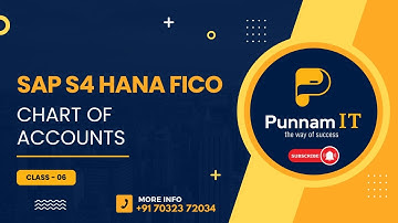 SAP S4 HANA FICO Chart of Accounts Class 06