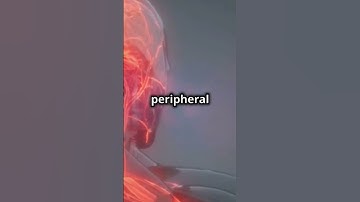 Journey Inside Your Body: Discover the Secrets of the Nervous System