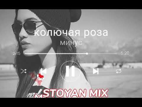 колючая роза минус (MSTOYAN MIX)