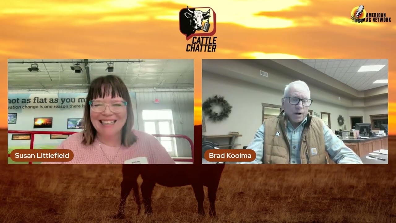 Lower Cash Trade Surfaces Early | 3/12/26 Cattle Chatter