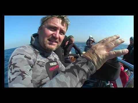 Video: Ako používate žraločie tvarovky na meď?
