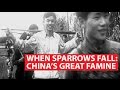 When Sparrows Fall: China's Great Famine | Asian Century