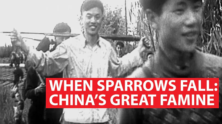 When Sparrows Fall: China's Great Famine | Asian Century - DayDayNews