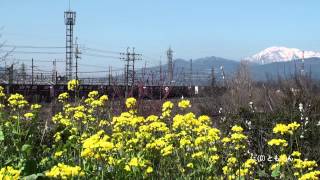 東海道本線　穂積　－　関ヶ原　2012/03撮影　EF210