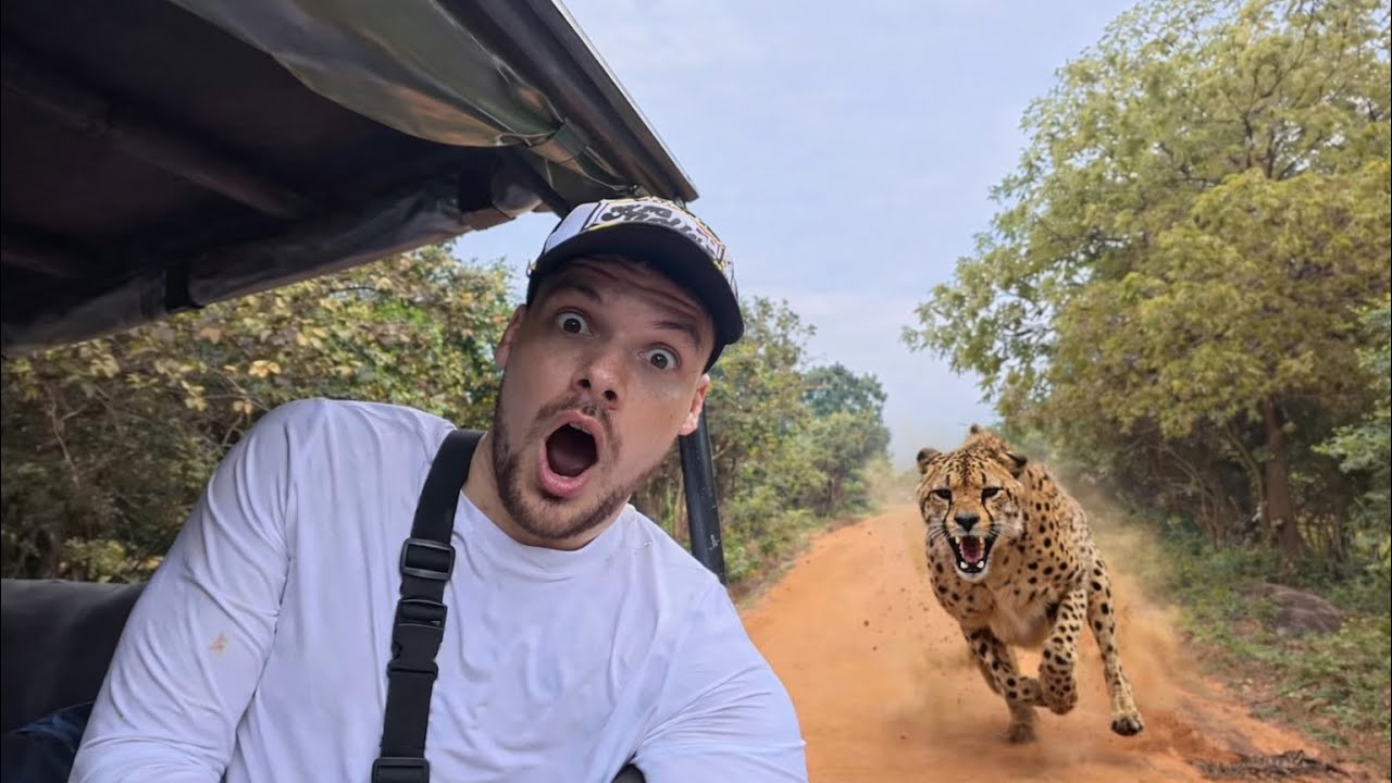 WE FINALLY FOUND A LEOPARD IN YALA, SRI LANKA…😳🇱🇰