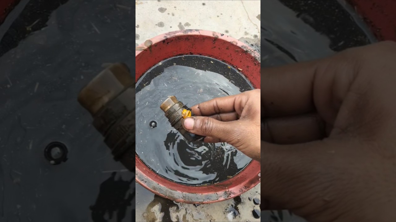 A RAM SAM SAM chiki tuds 🍍🍉🍑