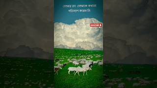 তোমার রব তোমাকে কখনো পরিত্যাগ করেন নি। islamicshorts gmislamicchannel voiceeffects islam