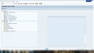 DAY-15 SAP MM Training   User Parameters and its Customizing Video 15   SAP MM Material Management