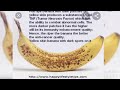 Health Benefits Of Ripened Bananas Faida Za Ndizi Mbivu Mwilini Subscribe Health Benefits Of Ripened Bananas Faida Za Ndizi Mbivu Mwilini Subscribe