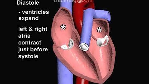 The Cardiac Cycle and Blood Oxygenation Animation by Cal Shipley, M.D.