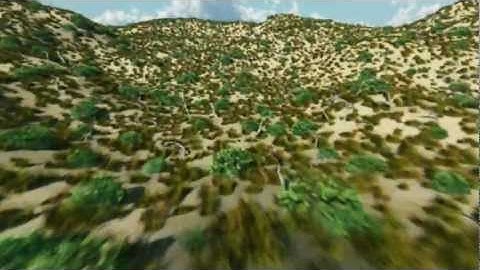 Vue Desert Animation Test by Don Quinn