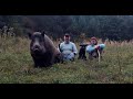 Boar Žofia