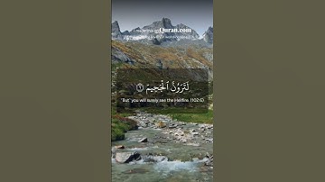 coran karim tv | surah al Takathor   سورة التكاثر #المصحف