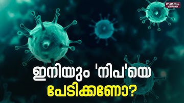Nipah Symptoms : നിപയെ എങ്ങനെ പ്രതിരോധിക്കാം