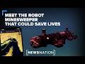 Meet the robot that finds mines so divers don't have to | NewsNation Reports