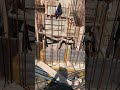Steel specifications | Bottom & Top with down Beams #youtubeshorts