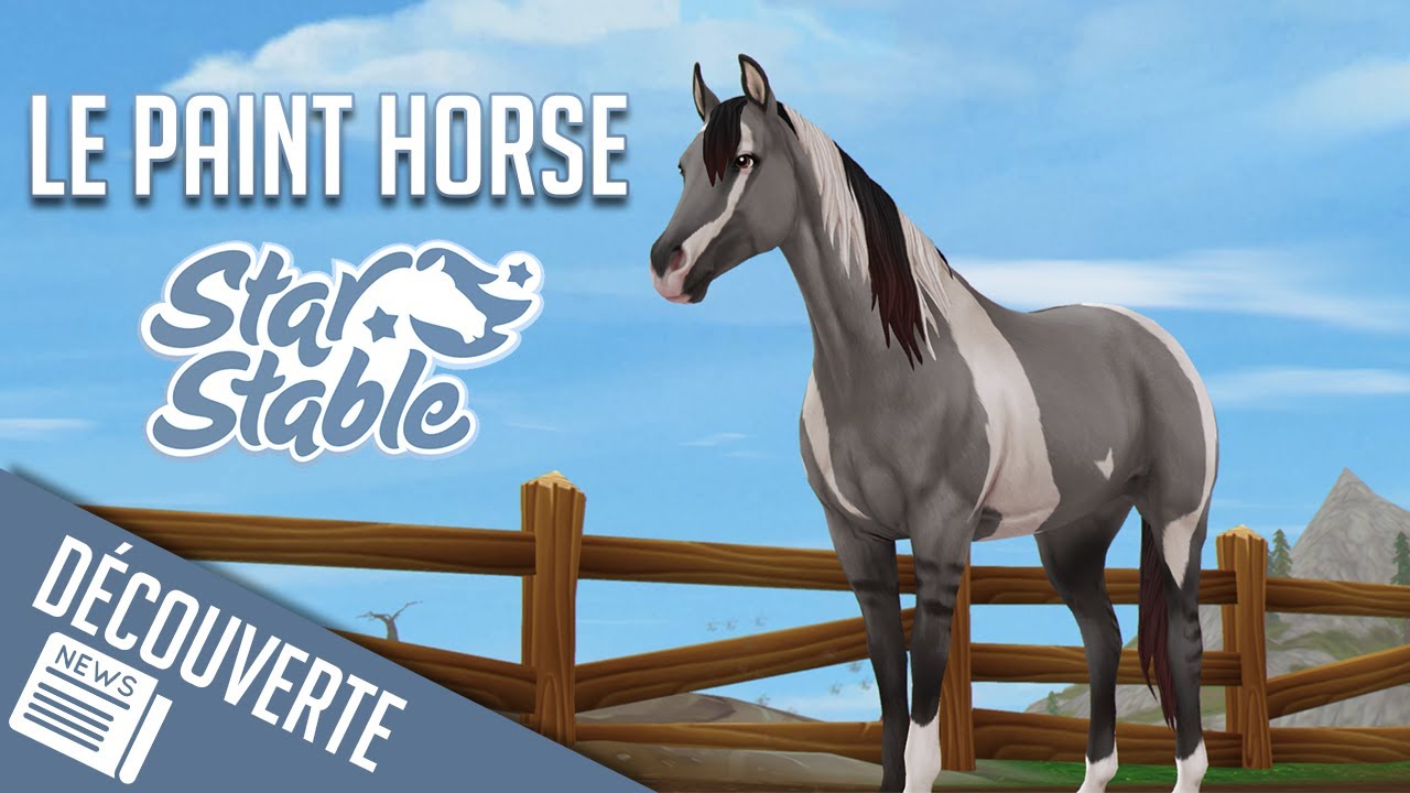 ACHAT DU PAINT HORSE Star Stable SSO YouTube