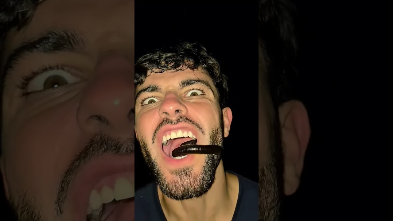 The snake weight 100KG