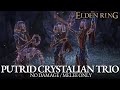 Putrid crystalian trio boss fight no damage  melee only elden ring