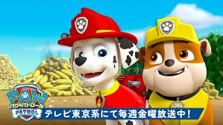 パウ・パトロール | ラブルとマーシャルのいちばん勇気あるシーン!