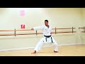 THE 5 HEIAN KATA OF SHOTOKAN KARATE