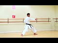THE 5 HEIAN KATA OF SHOTOKAN KARATE