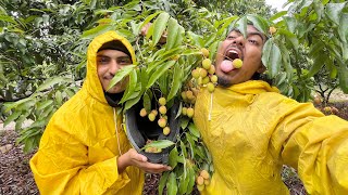 Kathmandu Jada Litchi Chorna Baddey Vaye 😅