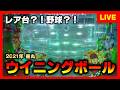 【レア台】ウイニングボールは羽根のない羽根物でライブ配信