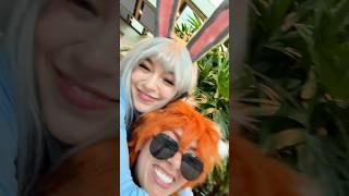 Download Lagu Sly Fox, Dumb Bunny #zootopia MP3