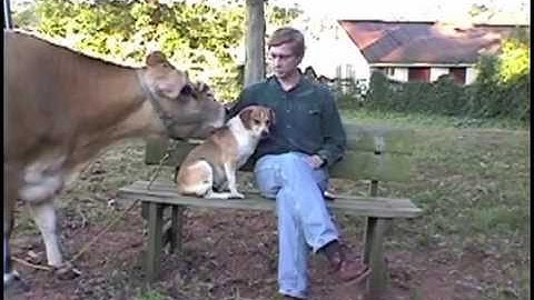 Introduction to Instructional Design (Remastered)