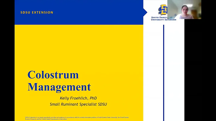 Colostrum Management for Sheep & Goats