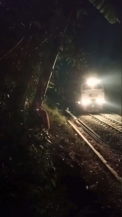 KERETA MALAM🔥 #bandung surabaya #shorts