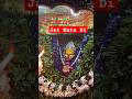 #vaishnodevi #shortsfeed #travel #trendingshorts #viral #reels #youtubeshorts #dailyshorts #aa23