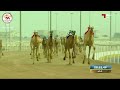 الشوط 2 الخنجر الفضي للقعدان المفتوح مهند لـ حمد راشد حمد بن غدير الكتبي 11 57 36