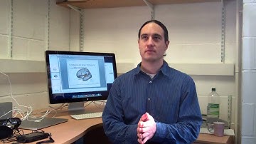 Dr Michael Proulx on Kelly Gallagher