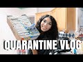 QUARANTINE VLOG | GOING TO THE GROCERY STORE