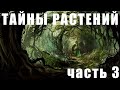 Любопытные и удивительные растения нашей планеты // Curious and amazing plants of our planet Ч.3