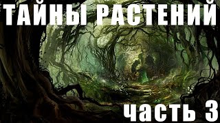 Любопытные и удивительные растения нашей планеты // Curious and amazing plants of our planet Ч.3