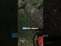 So einfach kann man im LS25 einen Baum entasten