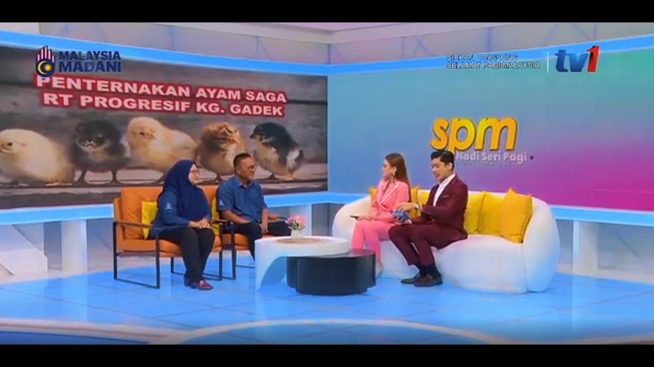 PENTERNAKAN AYAM SAGA RT PROGRESIF KG. GADEK