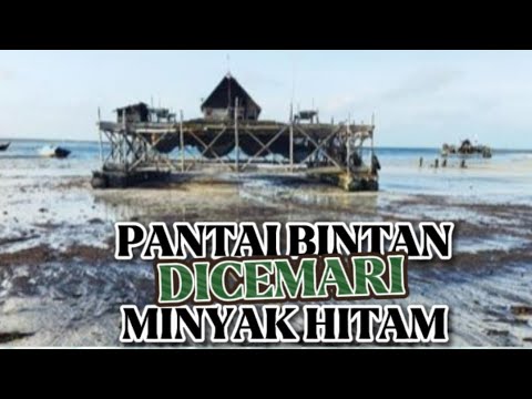 LIMBAH MINYAK HITAM CEMARI LAUT BINTAN