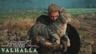 We Get an Army of Cats to Fight Rats in Assassin's Creed: Valhalla Wealth