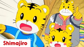 Fun Family Time - Make your own picnic at home with Shimajiro  |  Full Episode #10